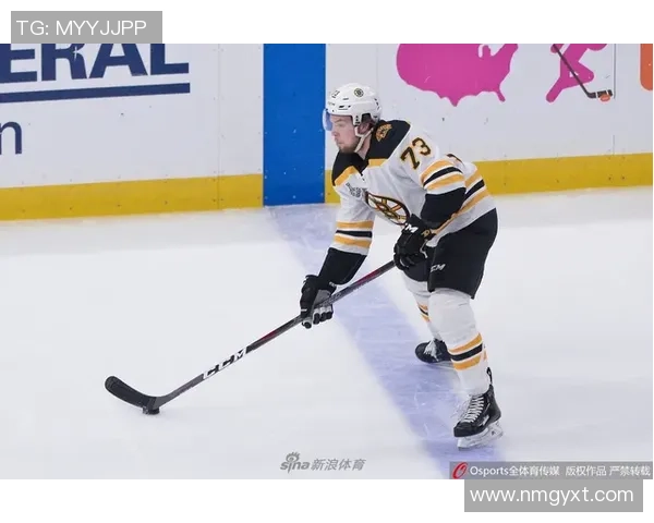 圣路易斯蓝调与波士顿棕熊的激烈对决引发冰球迷热议