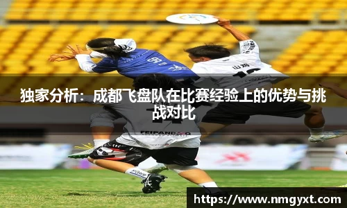 独家分析：成都飞盘队在比赛经验上的优势与挑战对比